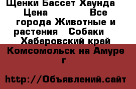 Щенки Бассет Хаунда  › Цена ­ 25 000 - Все города Животные и растения » Собаки   . Хабаровский край,Комсомольск-на-Амуре г.